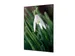 Wanddecoratie Textiel Set A1 Witte Bloem Sneeuwklokje