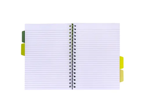 Projectboek Pukka Pad Recycled B5 lijn 4-tabs 200 pagina's 80gr groen