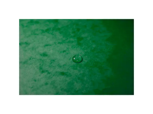 Sorteermap Harmonika vensters 12vak gr.