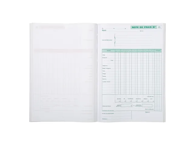 Manifold Kostennota 29,7x21 50bl dupli