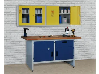 milieu-wandkast,v. aquatox. stoffen,HxBxD 600x800x300mm,vensterdeur - 2