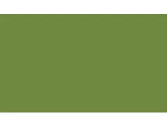 Servet 33x33cm 1/8 Vouw 3-laags Bladgroen 4x250 stuks