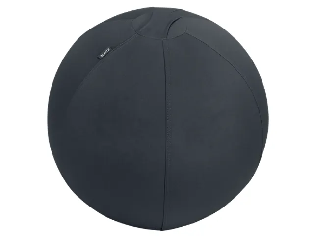 Leitz Ergo Actieve Zitbal anti-rol 55cm Donkergrijs