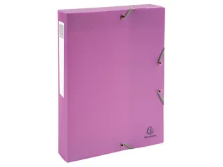 Klasseerdoos rug 40m m PP Forever Young - 18