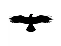 sticker,Buizerd,PVC,zwart,zelfklevend,HxB 145x367mm