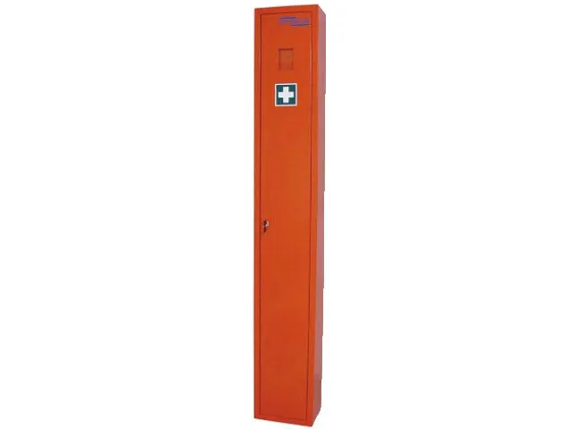 Bhv / Ehbo Brancardkast Hxbxd 2000X300X200Mm Oranje Leeg