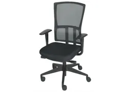 Bureaustoel 300 NEN-EN 1335 Mesh rug zwart kunststof voetkruis Zwart