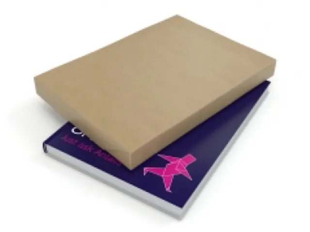 Verpakkingspapier Vel Naturel Velijn 700x1020mm 90g/m2 250 Vel Bruin