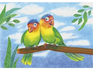 kleurset Faber-Castell Triangular - 7