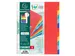 Tabbladen glanskarton 225g 12-delig A4 maxi Assorti