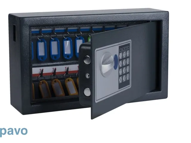 Sleutelkast Pavo high security 20 haken 205x347x147mm elektronisch