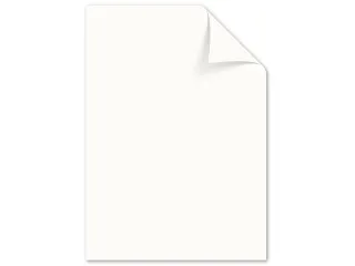 papier Kangaro A4 160 gram pak a 50 vel (10x5) assorti - 6