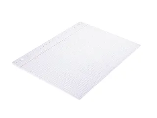 Ringbandinterieur Multo A4 23r ruit 5mm 90 grams 50 vel - 3