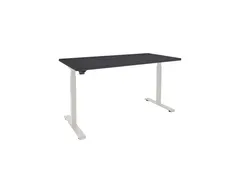 Elektrisch Verstelbaar Bureau 2 Motoren 160x80cm Frame Alu Blad Zwart