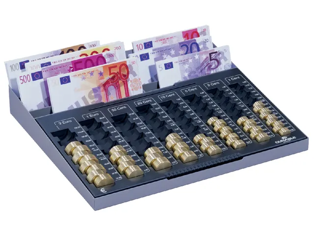 Geldsorteerbak Durable 178157 euroboard XL 328x286x59mm