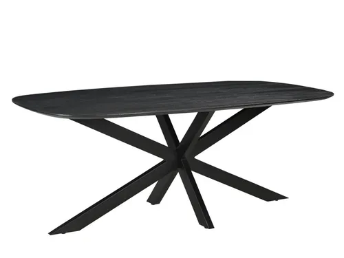 Vergadertafel Harper Deens Ovaal 200x100cm Zwart blad met Spinpoot