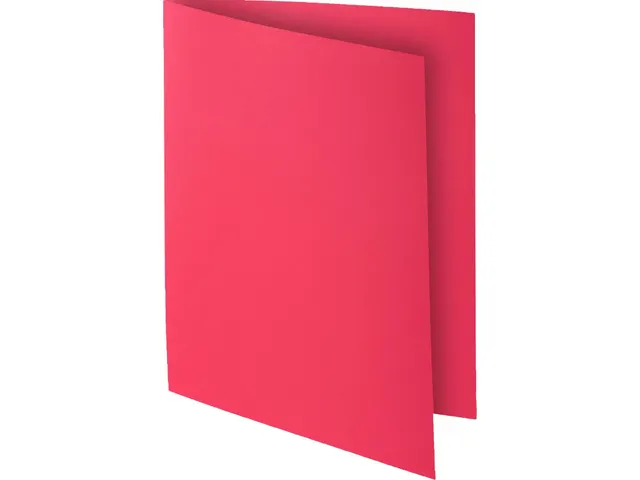 Pak van 30 inlegmappen ROCK''S 80 22x31cm Framboos