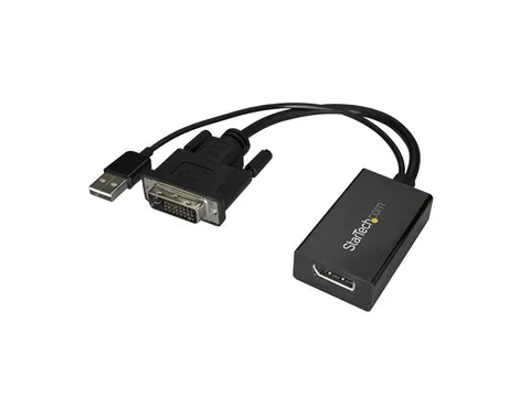 Dvi Naar Displayport Adapter Met Usb Power - 1920 X 1200