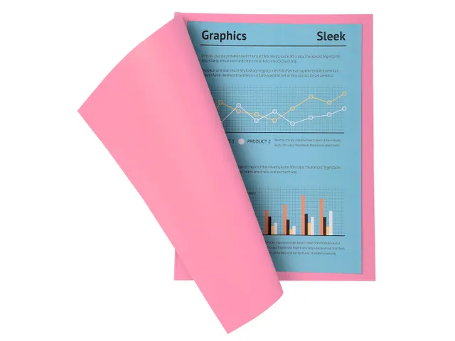 100 dossiermappen SUPER 250 24x32cm Roze