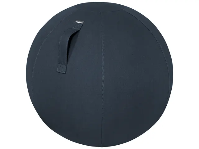 Actieve zitbal Leitz Ergo Cosy grijs