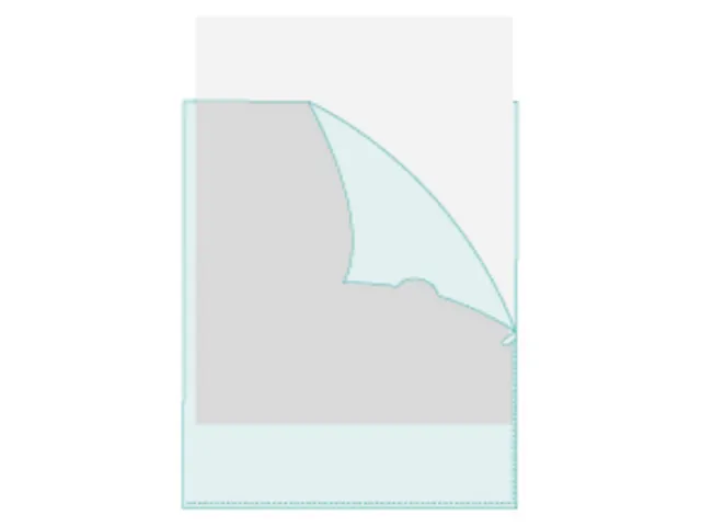 PK 100 L-map glad PP 11/100 A4 transp.