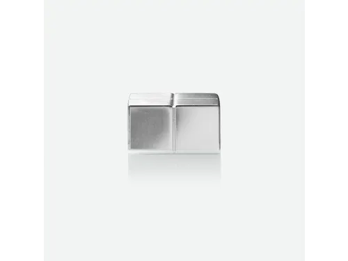 Magneten Sigel voor glasbord set 4stuks zilverkleurig C10 20x10x20mm