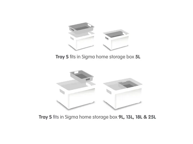 Sigma Home tray maat S lichtgrijs - buitenmaten 24,4x16,1x4,4cm