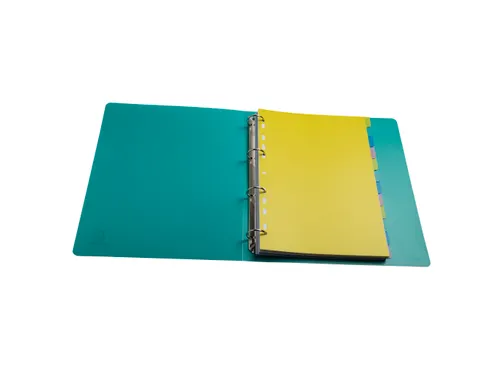 Tabbladen PP FOREVER YOUNG A4 12 tabs