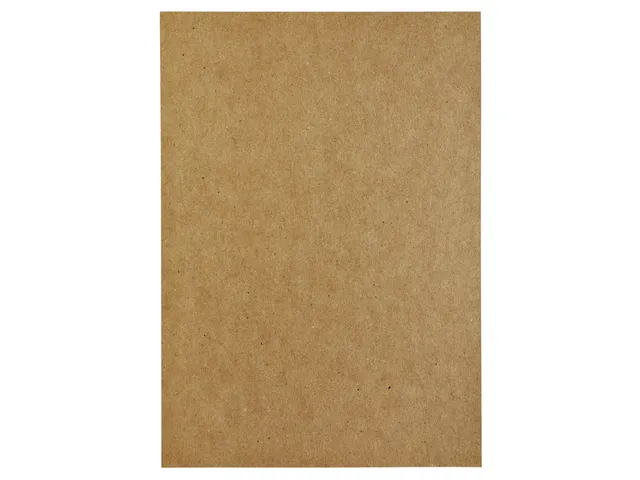 Kopieerpapier Papicolor A4 100gr 12 vel kraft bruin