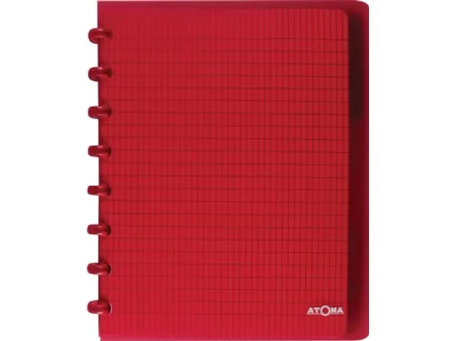 Schrift Commercieel Geruit A5 Assorti