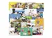 Cartes-posters De Stulp thème animaux A4 assorti