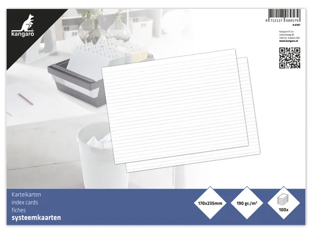 Fiche Kangaro 170x235mm lignée 190g paquet de 100