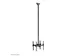 Neomounts NS-EP100BLACK Extension pour support plafond écran h107.5 c