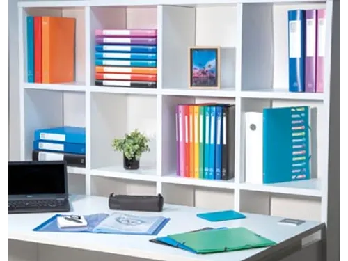 Elastobox A4 Rug Van 25mm PP Assorti Kleuren