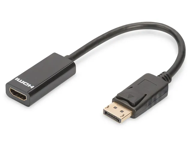 DisplayPort-adapter converter 0.15m Zwart