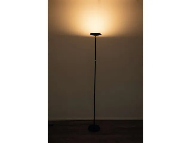 Vloerlamp MAUL Sphere LED dimbaar hoog 183cm zwart