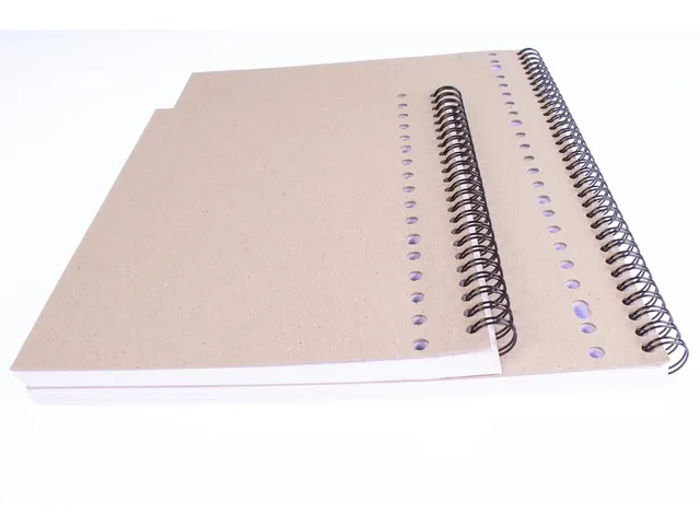collegedictaat A4 geruit 5 mm 23-gaats 80 vel 90 gram