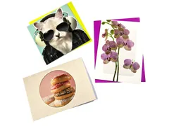 Wenskaart Paperclip zonder tekst navulset à 12 stuks