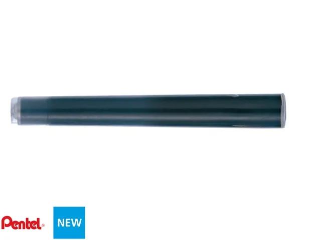 Cartouche Pentel pour Pocket Brush FP10 noir set 4 pièces