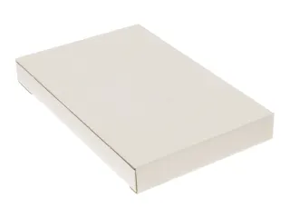 Brievenbusdoos Raadhuis wit EG 255x160x28mm krimp a 25 stuks - 10