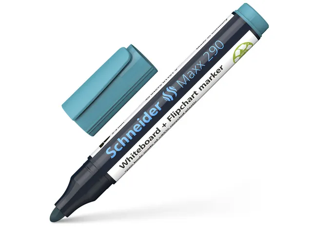 Boardmarker Schneider Maxx 290 ronde punt turquoise 2-3mm