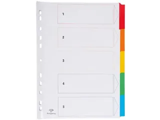 Tabblad karton A4 Assorti 5-delig 11-gaats index - 2