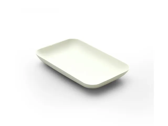 Sier Bagastro Bord Rechthoekig 120x80mm 12x40 Stuks