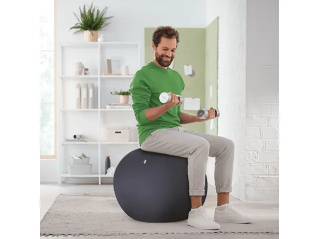 Leitz Ergo Actieve Zitbal anti-rol 65cm Donkergrijs