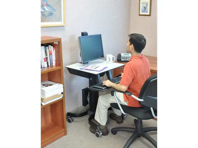 Werkstation Verrijdbaar Workfit-c Sit-stand Hd Lcd Zwart