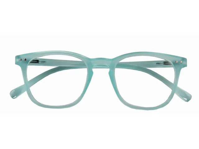 Leesbril I Need You +2.50 dpt Frozen blauw