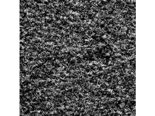 Schoonloopmat 122x244 Cm Voor Binnenshuis Antraciet