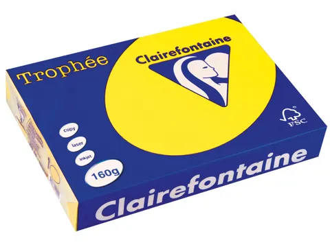 Trophée Intens Gekleurd Papier A4 160 gram 250vel Zonnegeel