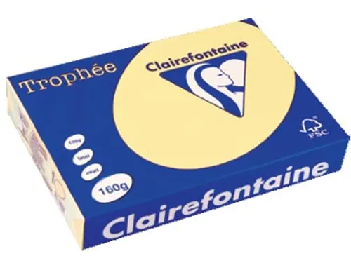 Trophée Pastel gekleurd papier A4 160 gram 250vel Kanariegeel