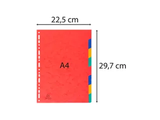Tabbladen glanskarton 225g 8-delig A4 Assorti - 4